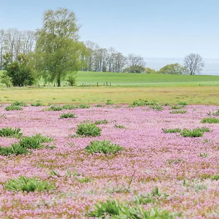別荘 Reetdachhaus 18 Auf Usedom
