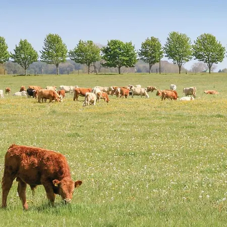 別荘 Reetdachhaus 18 Auf Usedom Garz (Usedom)