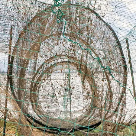 別荘 Reetdachhaus 18 Auf Usedom Garz (Usedom)